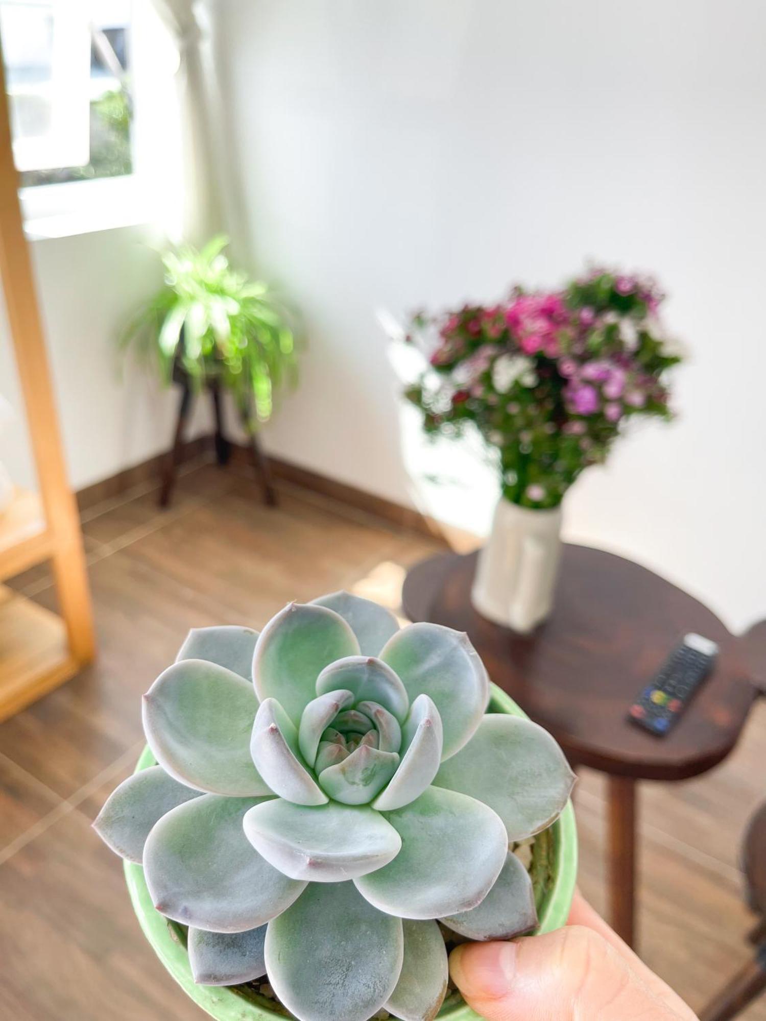 Selena Dalat Homestay Room photo